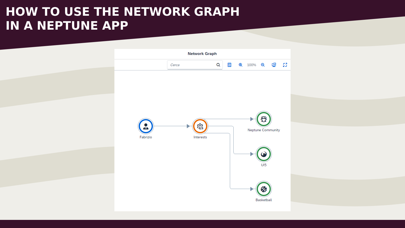 How to use the Network Graph in a Neptune DXP (SAP Edition) Application